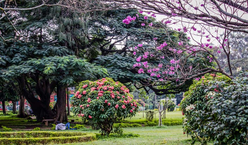 Bangalore garden pic on shadi®