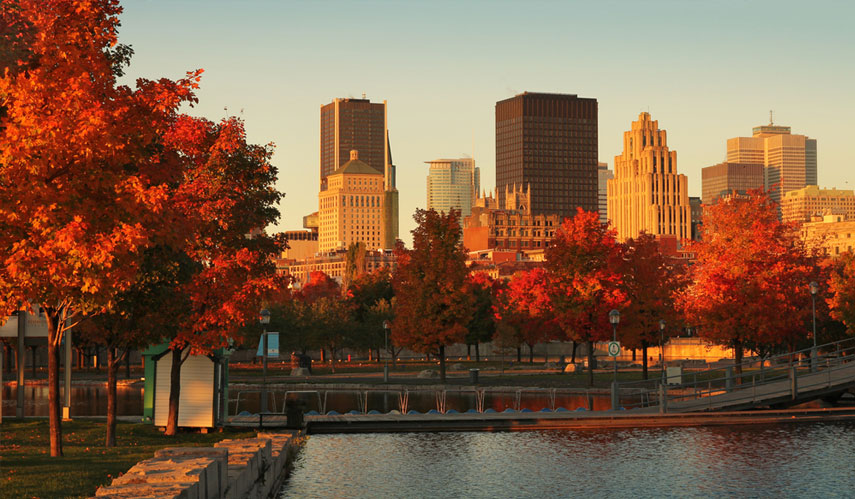 Shadi matrimonial couple in Montreal, Canada